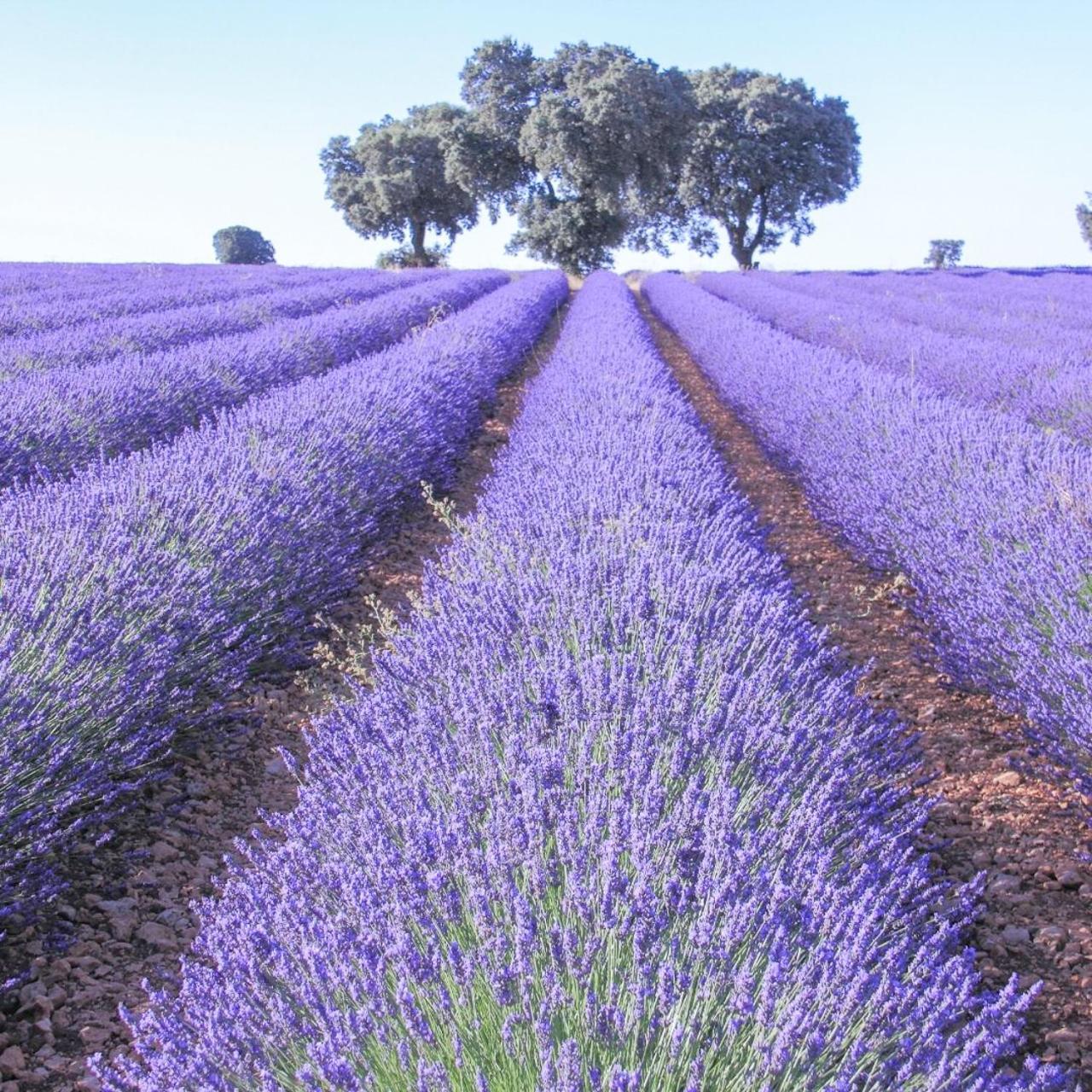 Le Cosy Valcros, Design Et Confort Aix-en-Provence Eksteriør billede